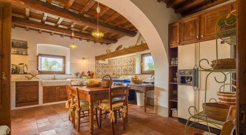 Photo of Olive Vineyards