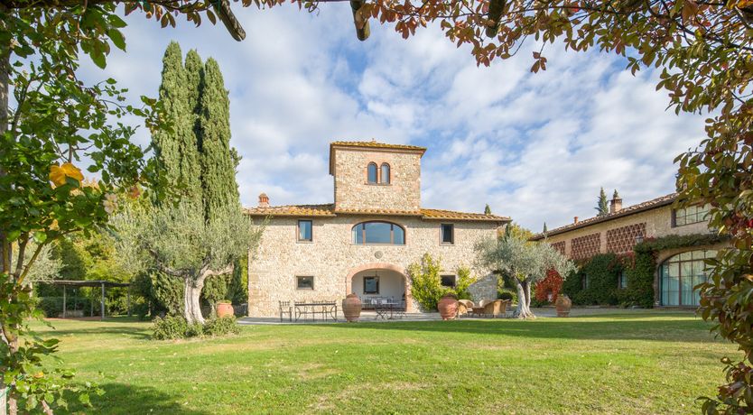 Photo of Olive Vineyards