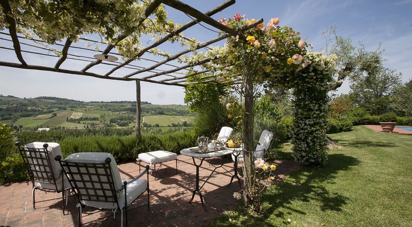 Photo of Olive Vineyards