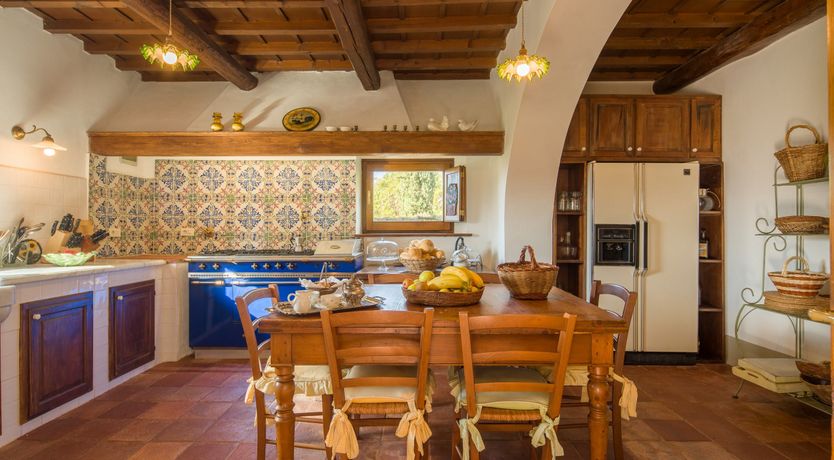 Photo of Olive Vineyards