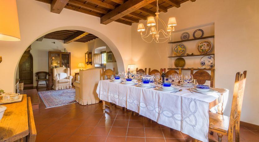 Photo of Olive Vineyards