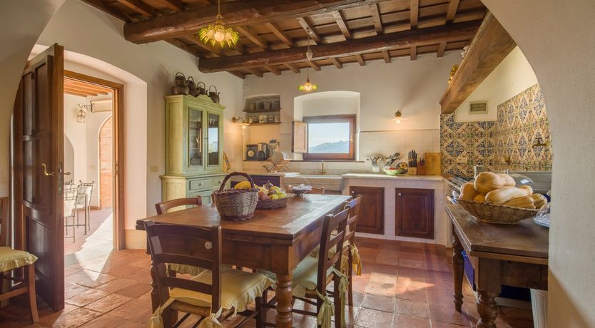 Photo of Olive Vineyards