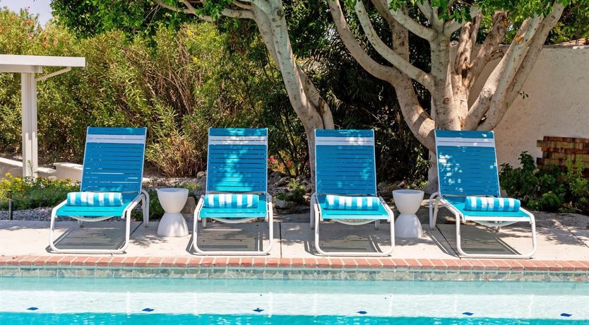 Photo of Palms In Paradise