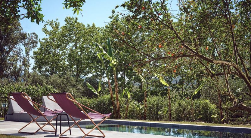 Photo of Zest of Lemon