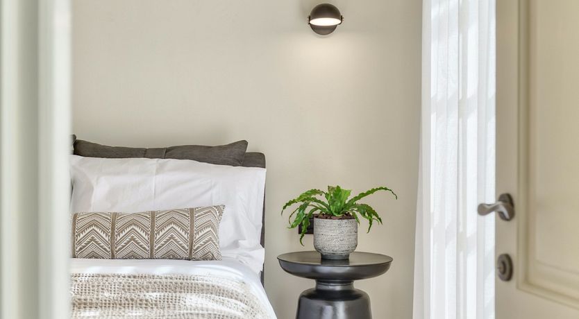 Photo of Zest of Lemon