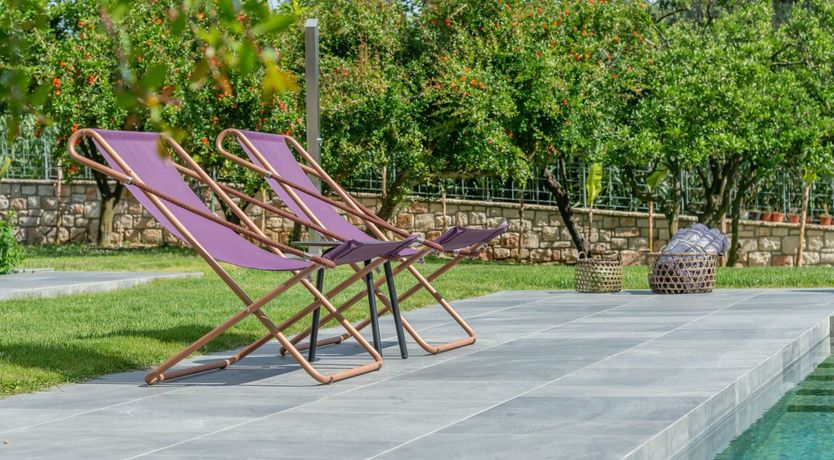 Photo of Zest of Lemon