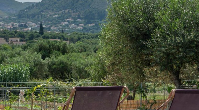 Photo of Zest of Lemon