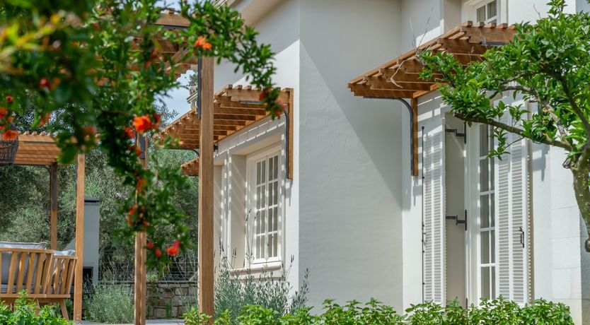 Photo of Zest of Lemon