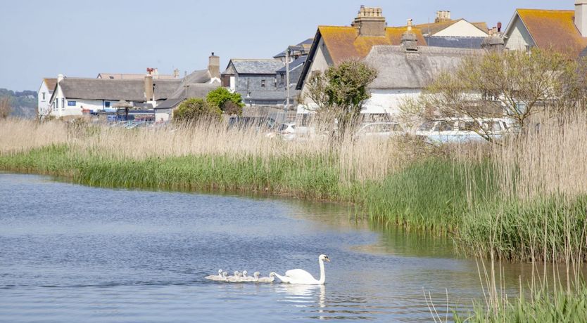 Photo of By the Sea Shore