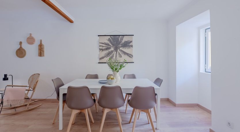 Photo of Under the Orange Tree