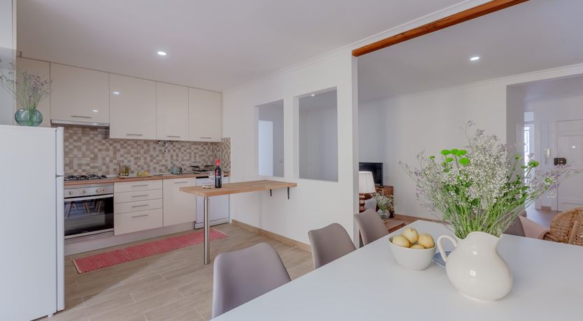 Photo of Under the Orange Tree