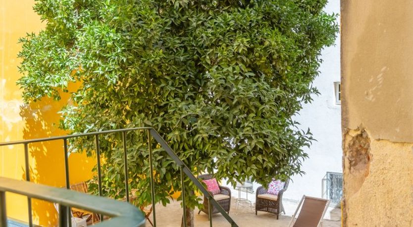 Photo of Under the Orange Tree