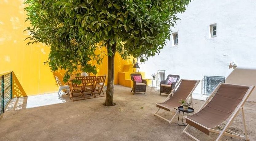 Photo of Under the Orange Tree