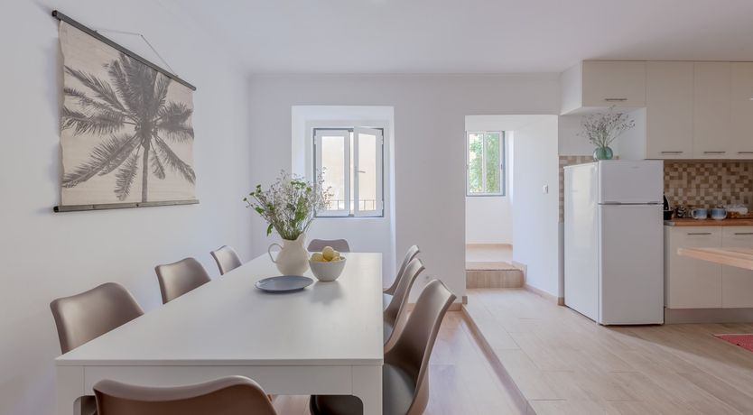 Photo of Under the Orange Tree