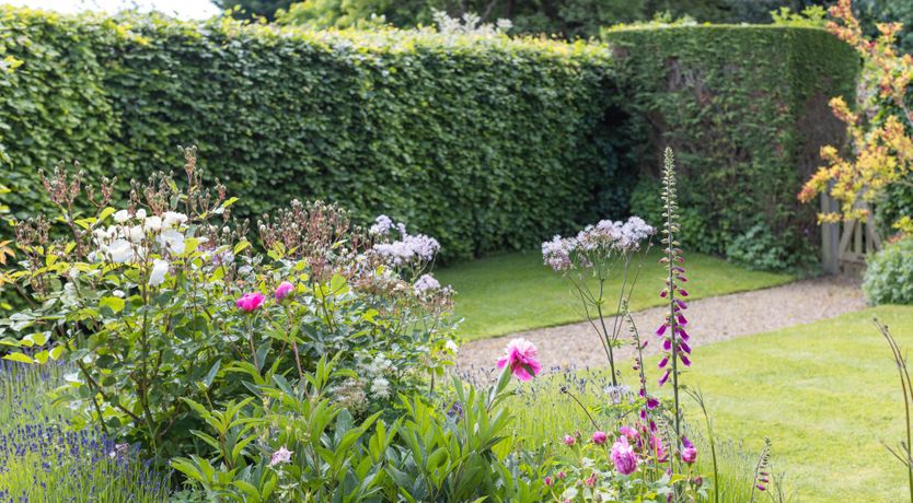 Photo of Village Life