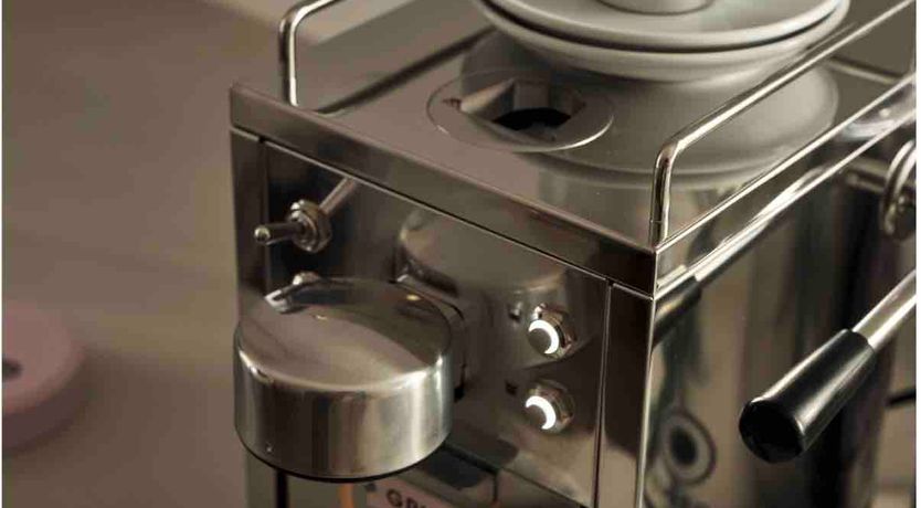 Photo of The Honey Bee