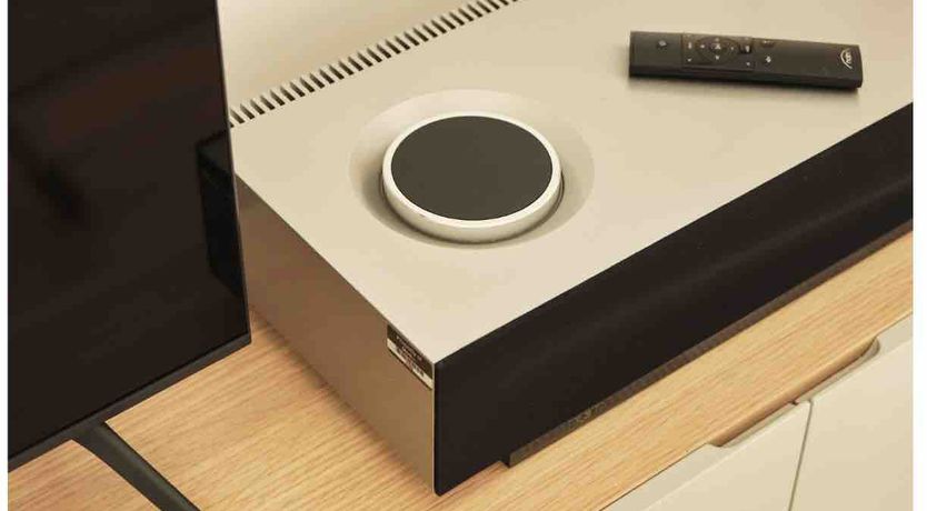 Photo of The Honey Bee