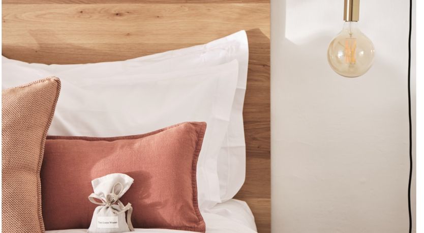 Photo of The Honey Bee