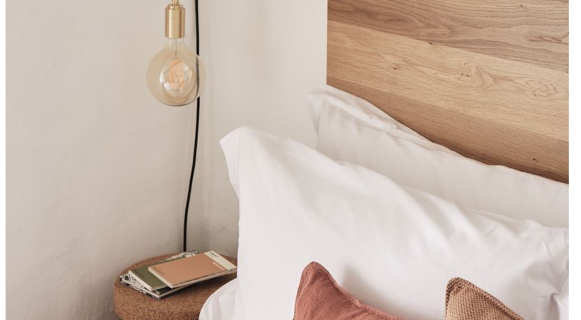 Photo of The Honey Bee