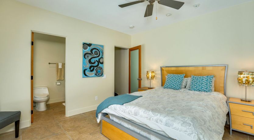 Photo of Money Trees