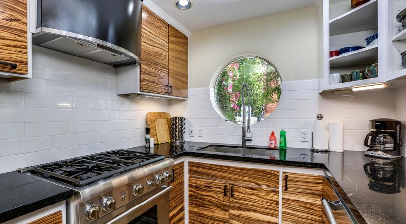 Photo of Money Trees