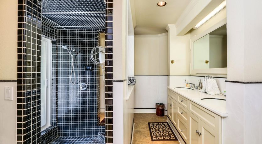 Photo of Money Trees