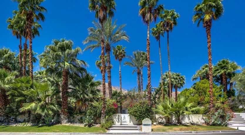 Photo of Money Trees