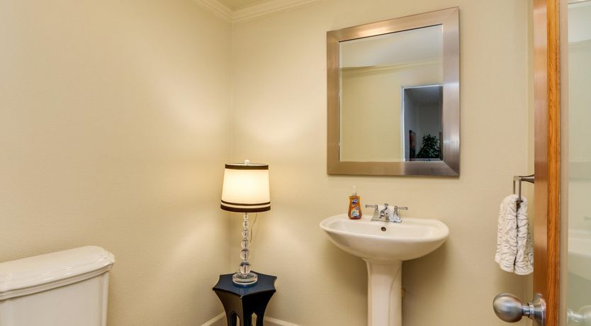 Photo of Money Trees