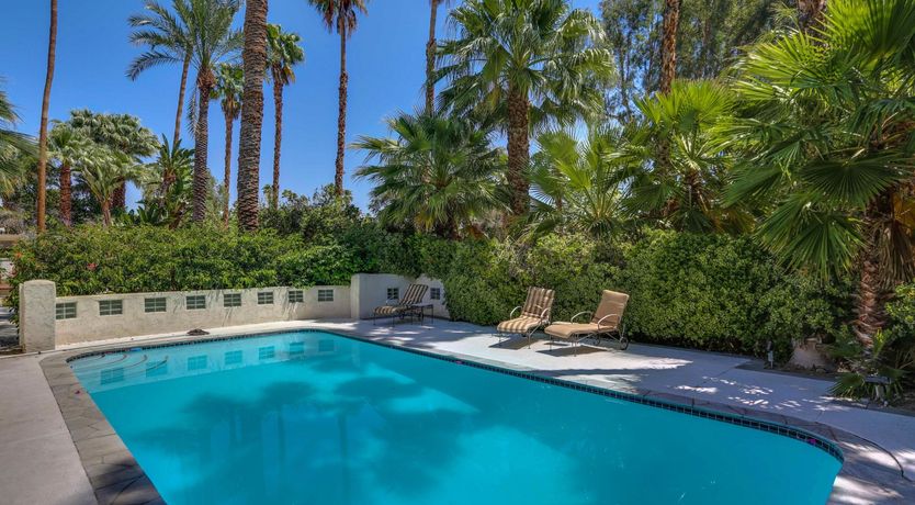 Photo of Money Trees