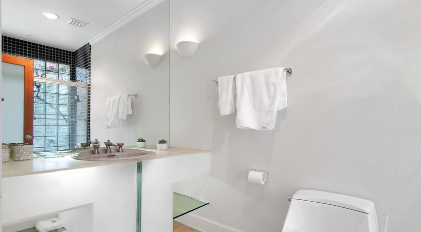 Photo of Money Trees