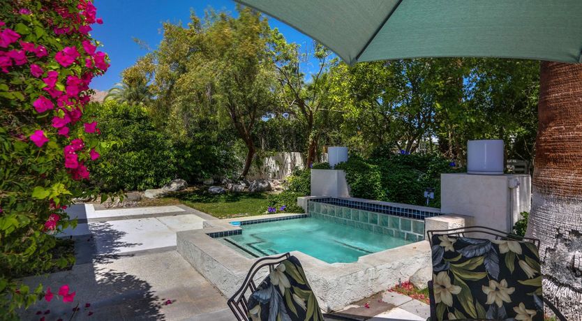 Photo of Money Trees