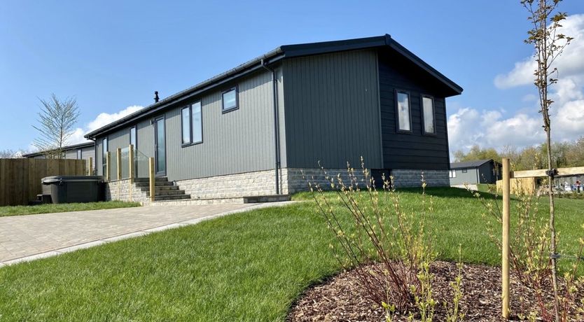 Photo of Bluebell Bouquet