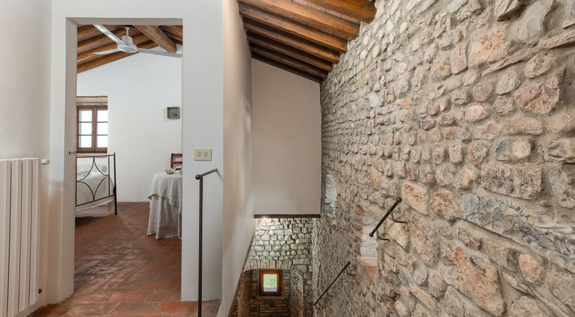 Photo of Tower Of Vines