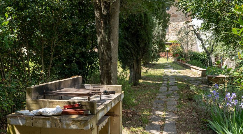 Photo of Tower Of Vines