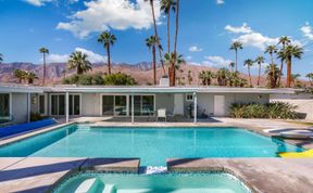 Photo of Palm Tree Springs