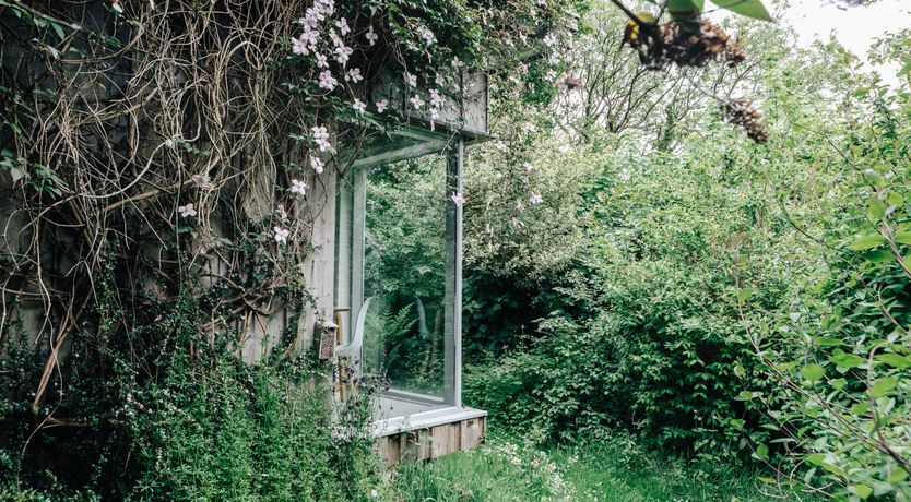 Photo of Cabin Culture