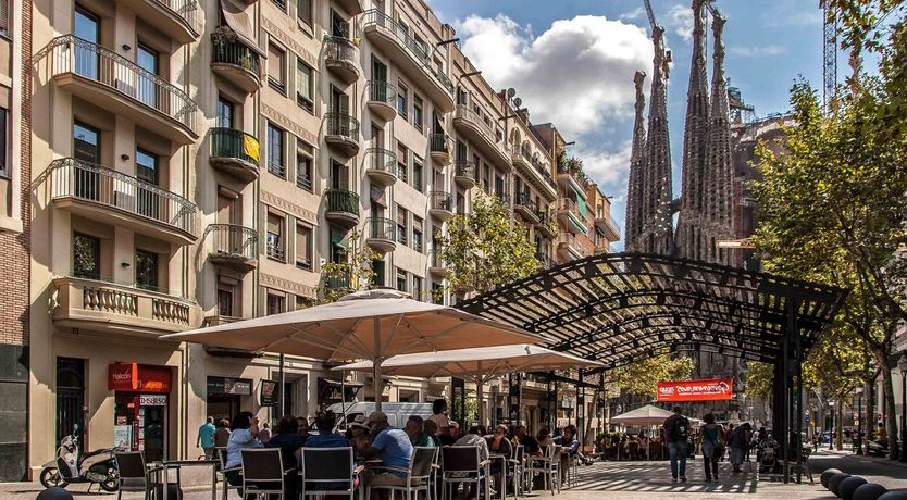 Photo of White Orchids