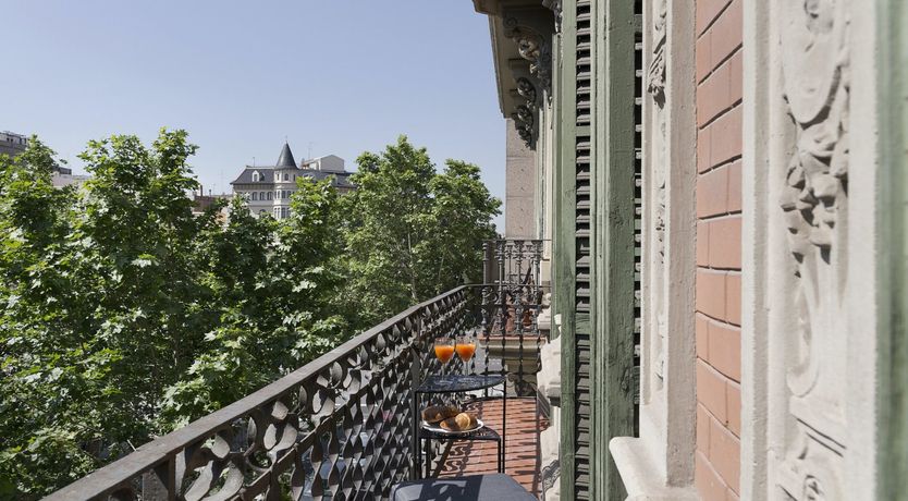 Photo of White Orchids