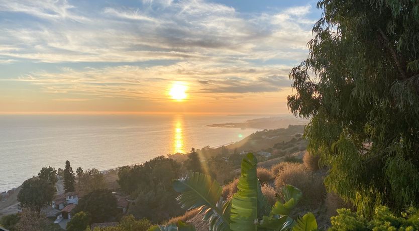 Photo of Malibu Blue