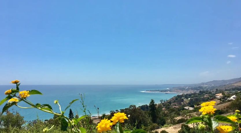 Photo of Malibu Blue