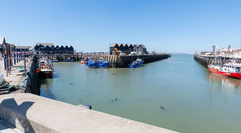 Photo of Whitstable Oysters
