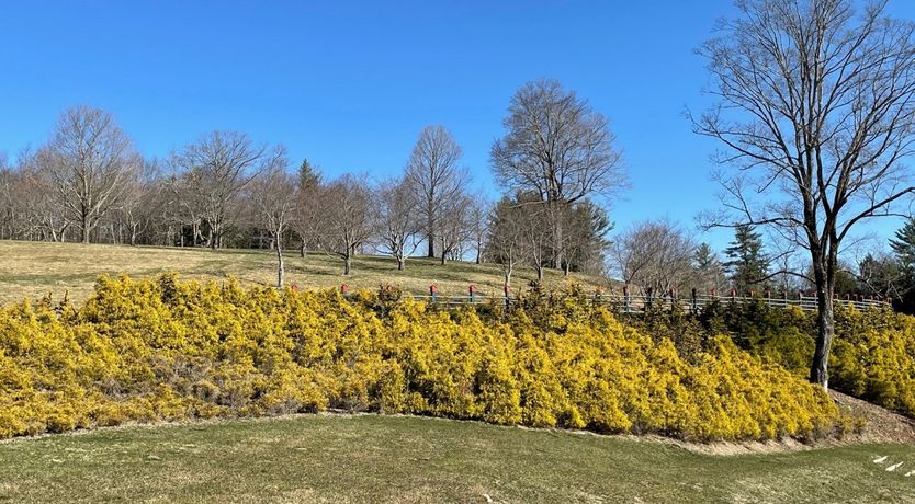Photo of The Old Silo