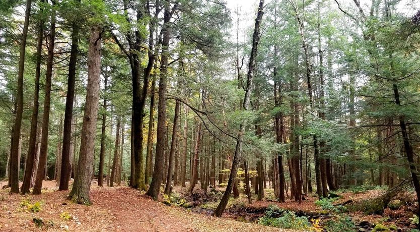 Photo of The Old Silo