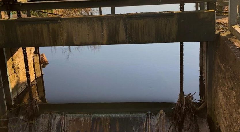 Photo of Grain Of Water