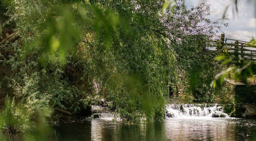Photo of Grain Of Water
