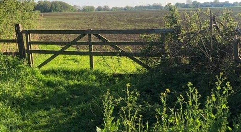 Photo of Grain Of Water