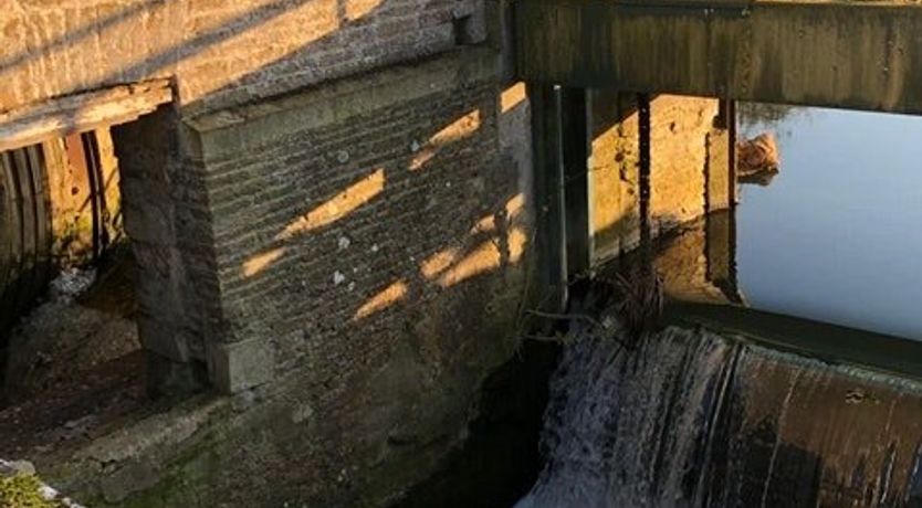 Photo of Grain Of Water