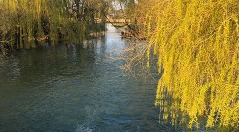 Photo of Grain Of Water