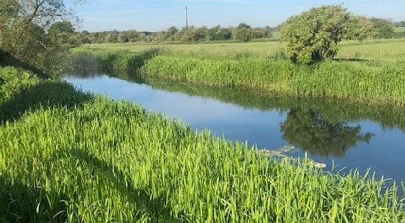 Photo of Grain Of Water