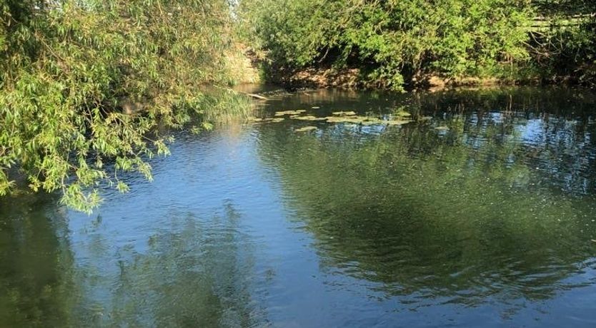 Photo of Grain Of Water